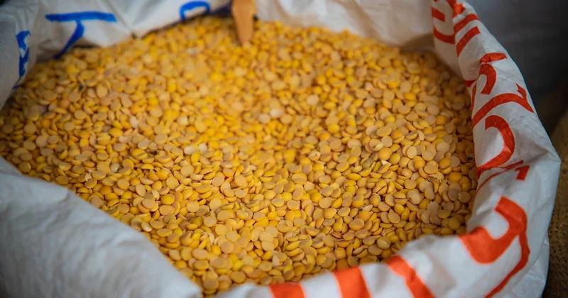 Combien de temps se conservent les plats préparés ?