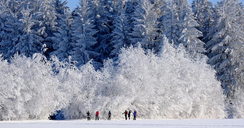 15 plats végétariens d'hiver réconfortants et gourmands à savourer